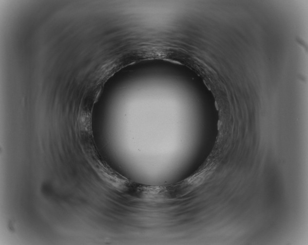 X0000097590096200802291229