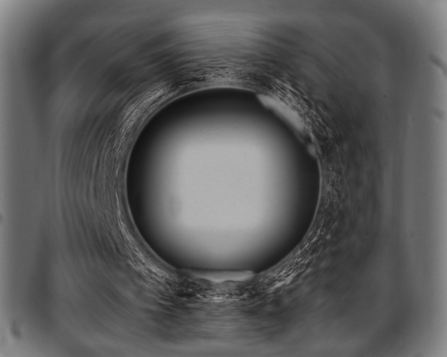 X0000097590097200802291229