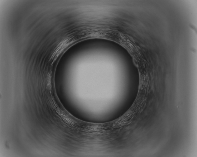 X0000097590098200802291229