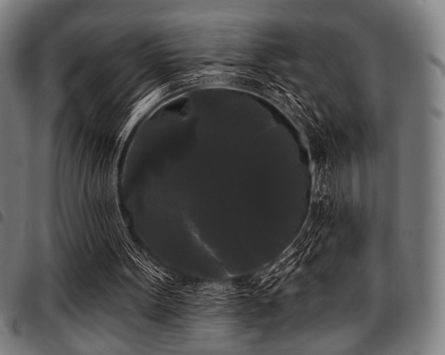 X0000097590099200802291229