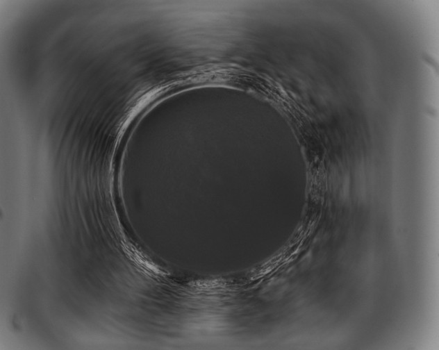 X0000097590100200802291229