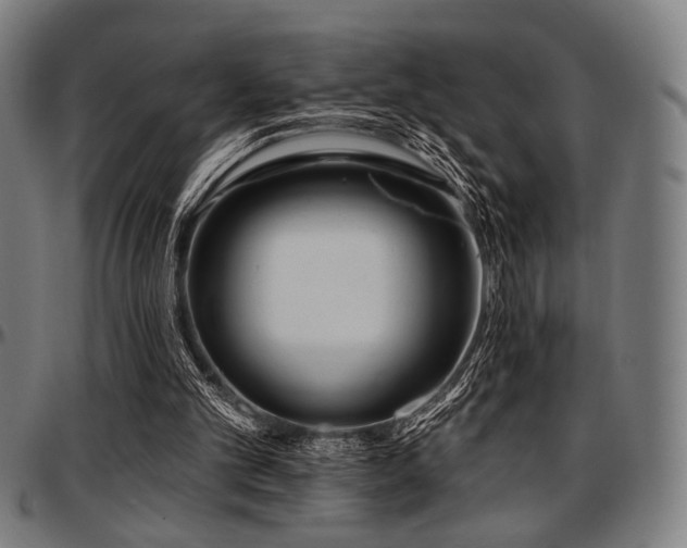 X0000097590101200802291229