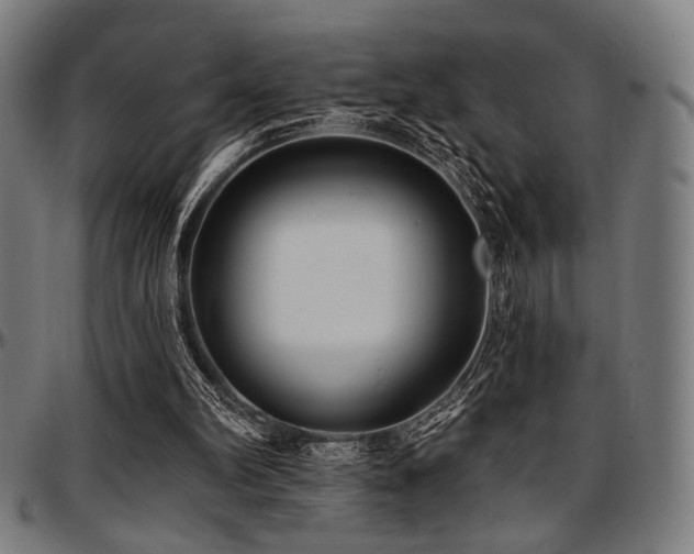 X0000097590102200802291229