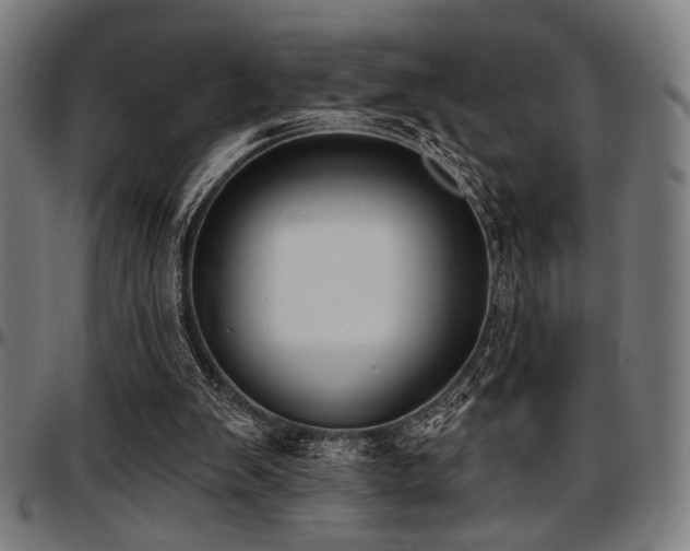 X0000097590103200802291229