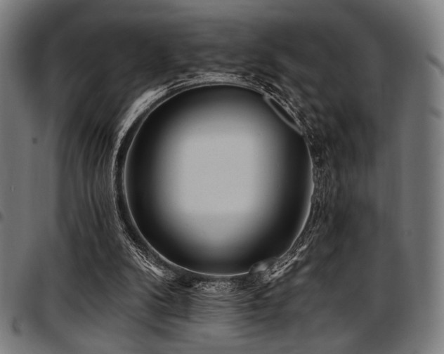 X0000097590104200802291229