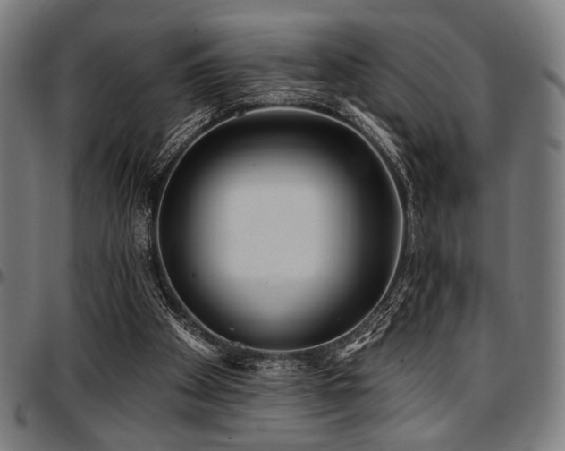 X0000097590105200802291229