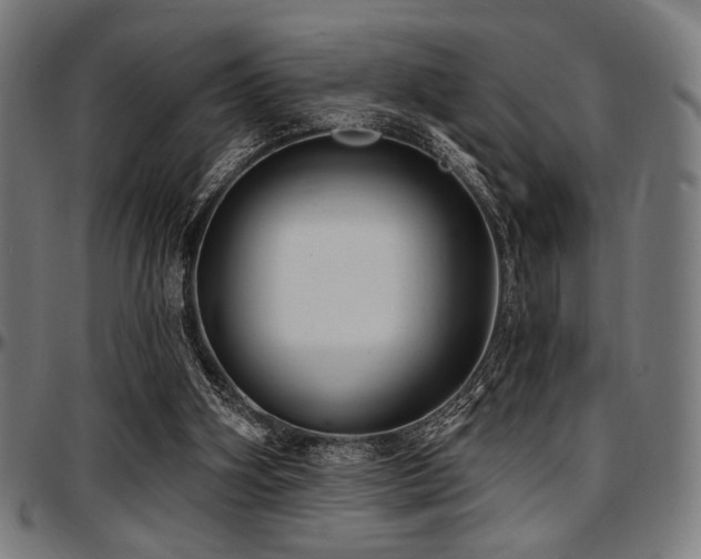 X0000097590106200802291228