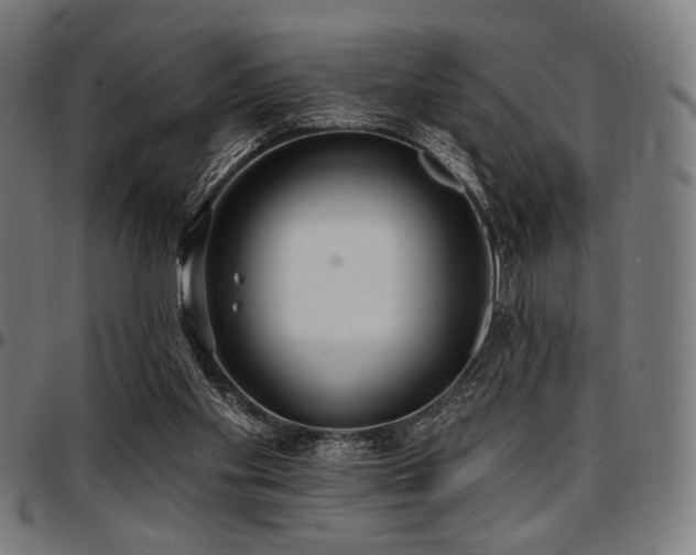 X0000097590109200802291228