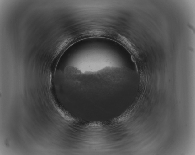 X0000097590110200802291228