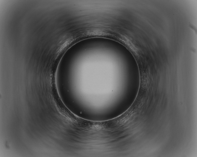 X0000097590111200802291228