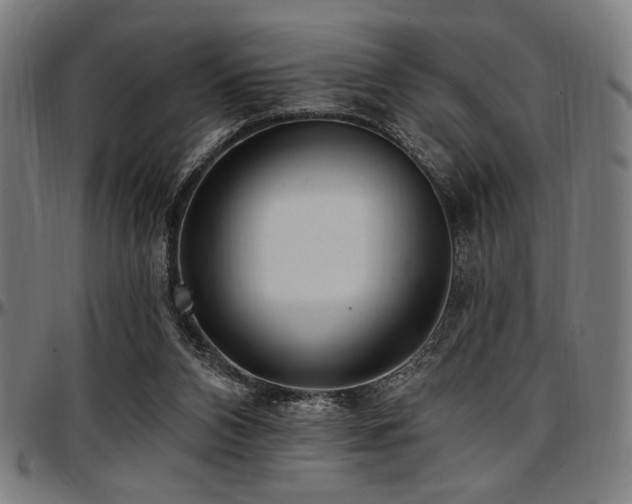 X0000097590112200802291228