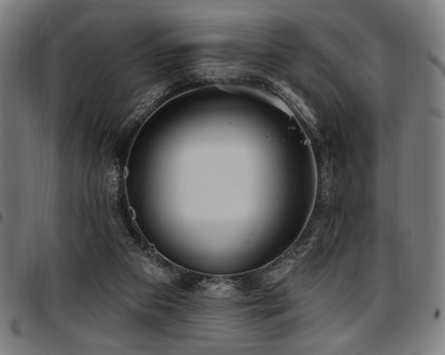 X0000097590113200802291228