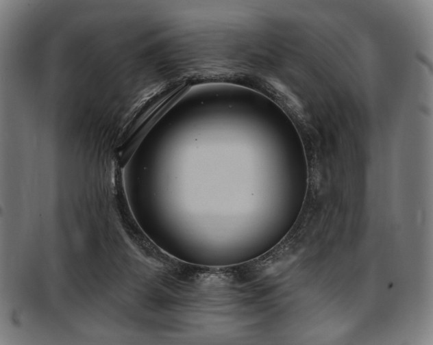 X0000097590115200802291228