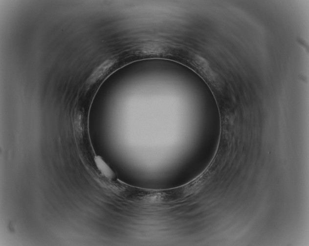 X0000097590116200802291228