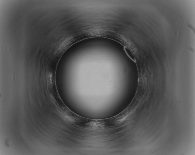 X0000097590117200802291228