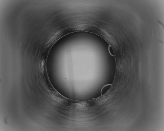 X0000097590118200802291228