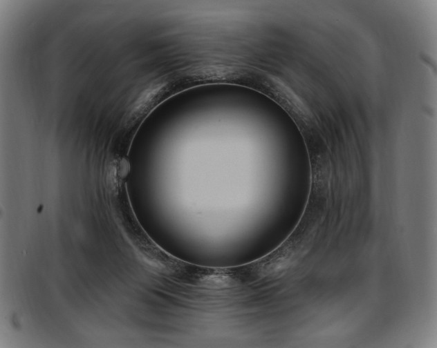 X0000097590119200802291228