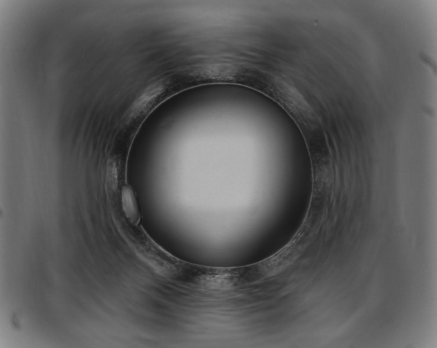 X0000097590120200802291228