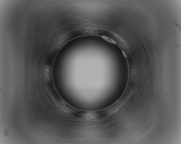 X0000097590121200802291228