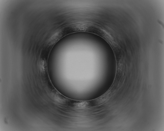 X0000097590122200802291228