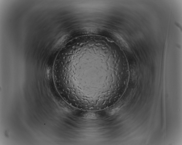 X0000097590123200802291228