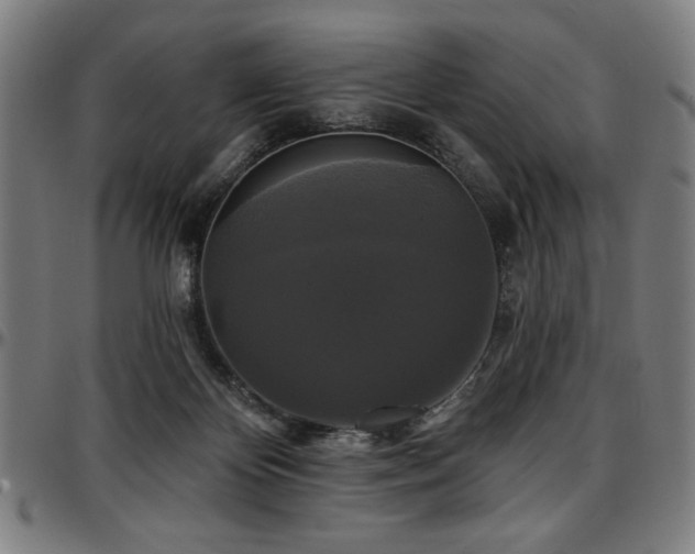 X0000097590124200802291228