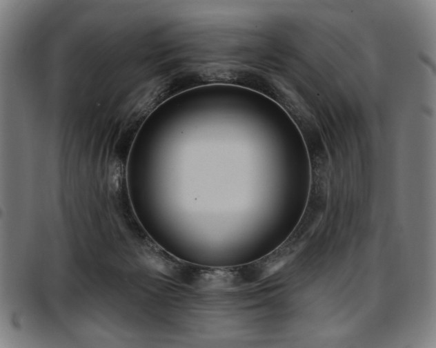 X0000097590125200802291228