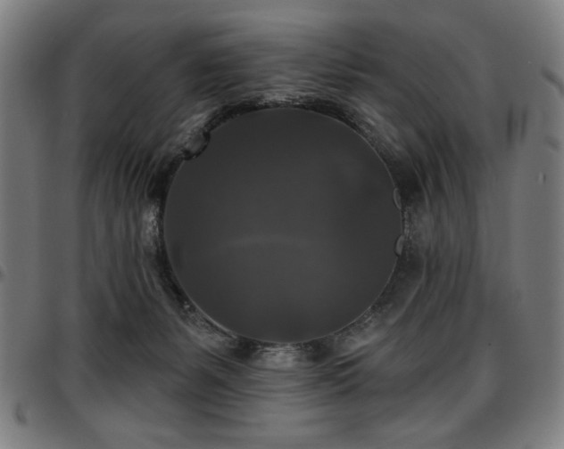 X0000097590127200802291228