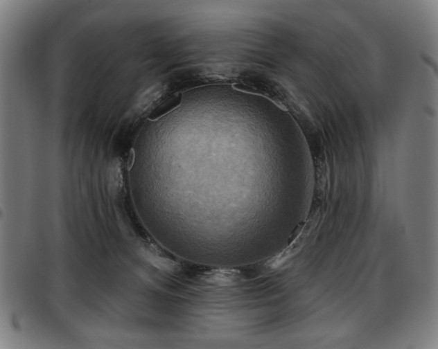 X0000097590128200802291228