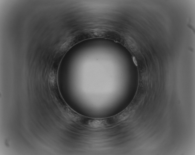 X0000097590129200802291228