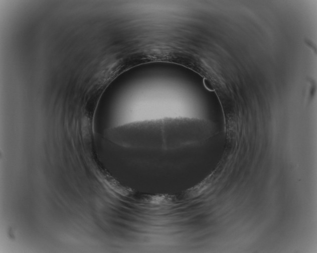 X0000097590130200802291228