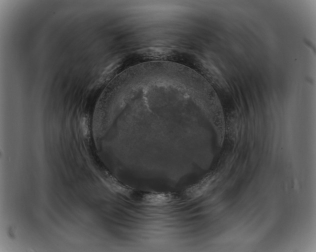 X0000097590131200802291228