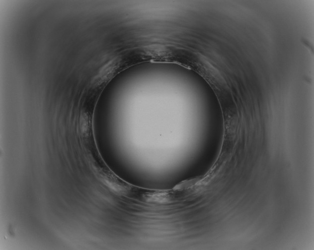X0000097590132200802291228