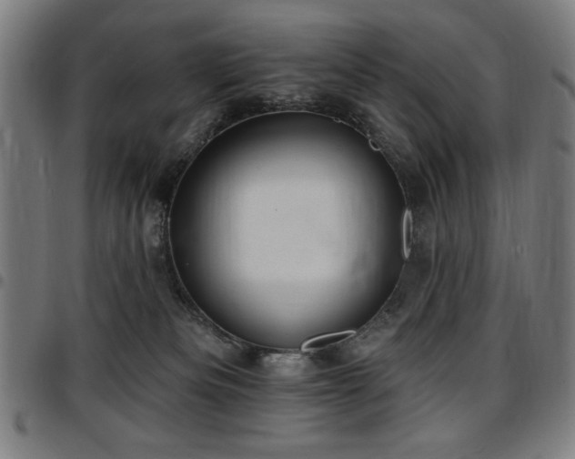 X0000097590133200802291228