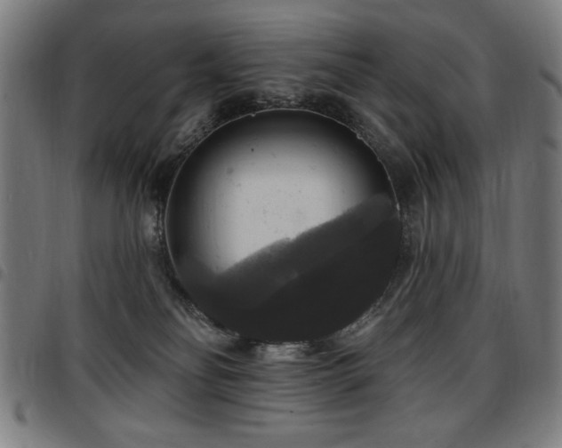 X0000097590134200802291228