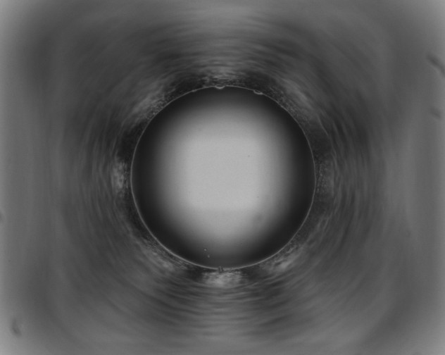 X0000097590135200802291228