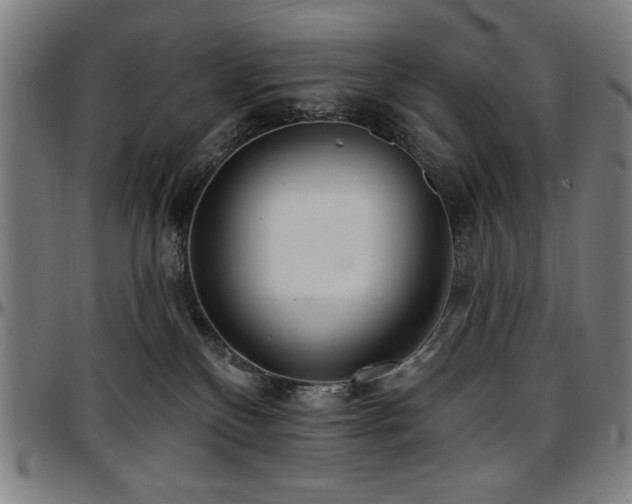 X0000097590136200802291228