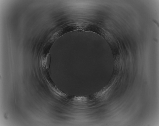 X0000097590137200802291228