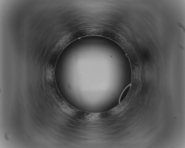 X0000097590138200802291228