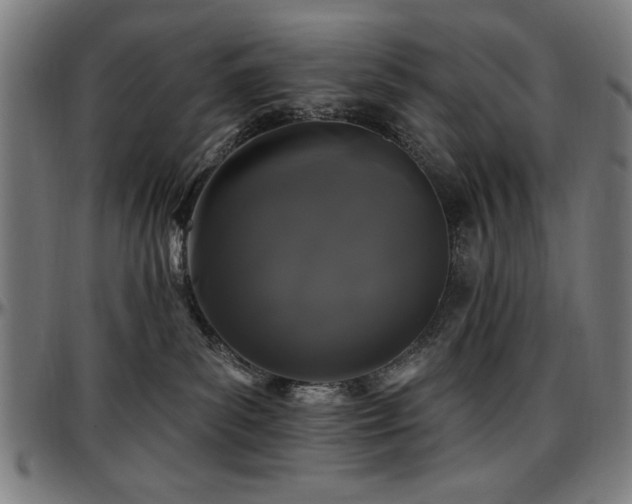 X0000097590139200802291228