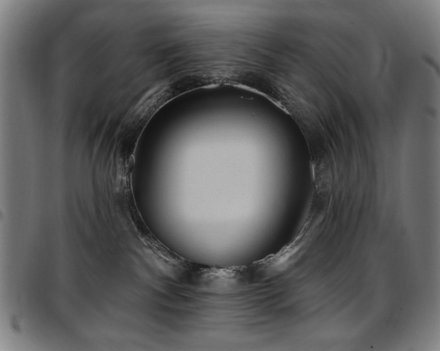 X0000097590140200802291228