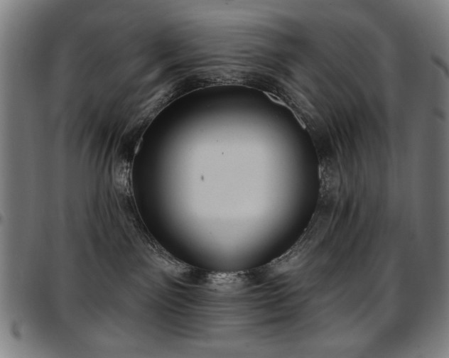 X0000097590141200802291228