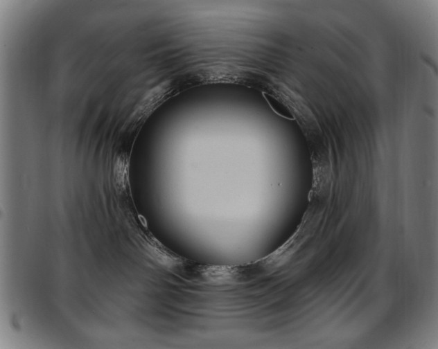 X0000097590142200802291228