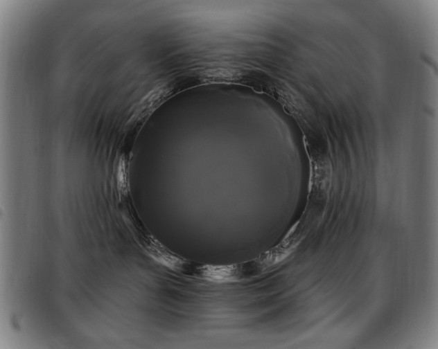X0000097590143200802291228