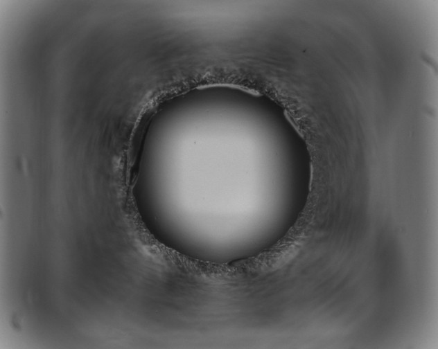 X0000097590144200802291228