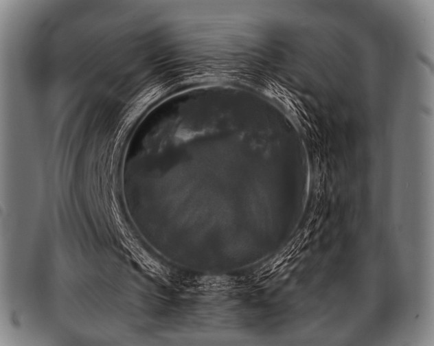 X0000097590145200802291227