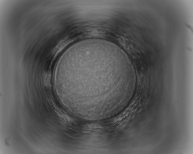 X0000097590146200802291227