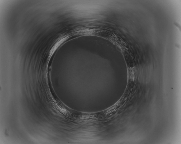 X0000097590147200802291227