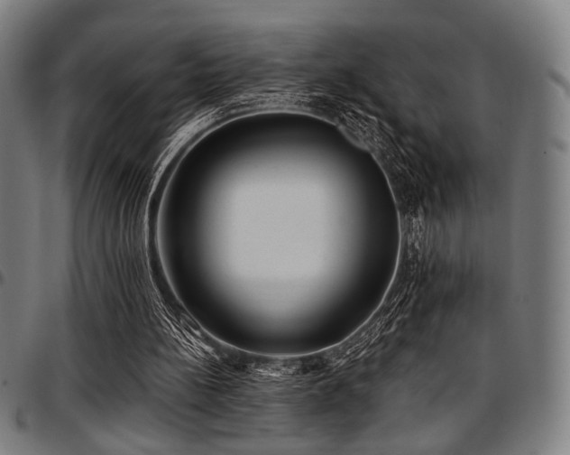 X0000097590148200802291227