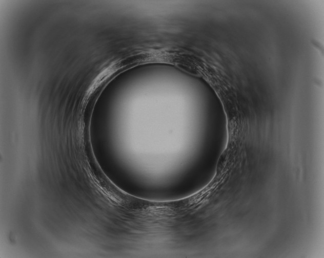 X0000097590150200802291227